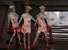 sh_10_nurse.jpg sh_10_nurse.jpg