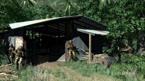 Crysis Overview
