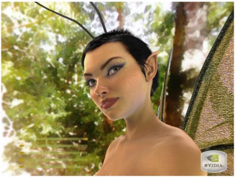 Nvidia Graphics